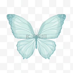 水彩风蓝色条纹蝴蝶