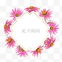 紫锥菊叶子图片_紫锥花水彩粉色花卉边框