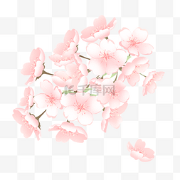 夜晚的樱花树图片_小清新多重花瓣樱花花枝装饰元素