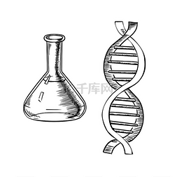 dna模型图片_实验室烧瓶和 DNA 螺旋模型在白色