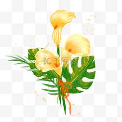 黄色马蹄莲图片_水彩黄色马蹄莲花卉植物叶子绿色