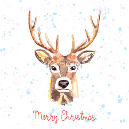 可爱的圣诞鹿图片_手绘制的圣诞贺卡