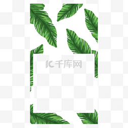 字体字母组合图片_边框水彩植物社交instagram