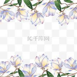 食物背景插画图片_淡雅水彩玉兰花卉边框