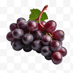 亮晶晶的葡萄图片_卡通手绘水果葡萄