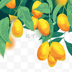 举个芒果图片_大暑夏季水果芒果