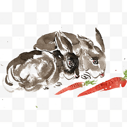 吃胡罗卜的兔子