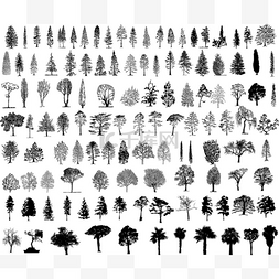 árvore图片_树的轮廓