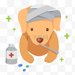 宠物治疗图片_宠物医疗治疗包扎伤口小狗