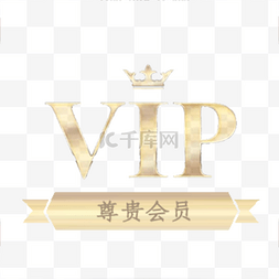 尊贵VIP标识