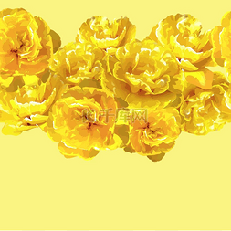 与蓬松的黄色郁金香的无缝模式。