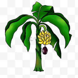 简单的树图片_简单的香蕉树剪贴画