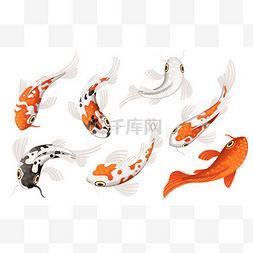 平面锦鲤图片_集鲤鱼日本象征幸运繁荣红色和黑