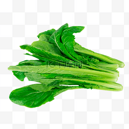 绿色蔬菜小白菜