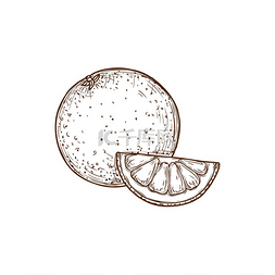 axure草图图片_橙色柑橘类水果整体和切片单独手