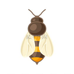 食品商务图片_蜜蜂插图商业食品和农业的形象蜜