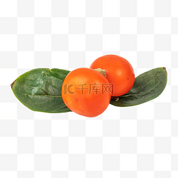 秋季果实脆柿子