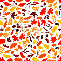 秋天落叶图案图片_秋天的背景是无​​缝图案的橙色
