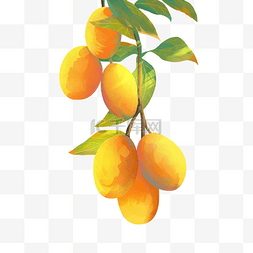 黄色芒果图片_立秋秋分金黄树叶芒果橘子