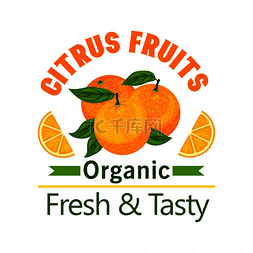 柑橘类水果海报。