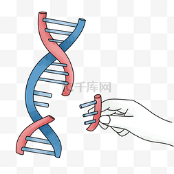 dna插画图片_基因遗传学里的实验