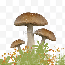 秋季蘑菇仿真秋天植物食物菌菇