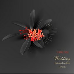 婚礼邀请背景图片_热带黑叶和异国情调的红花在深色
