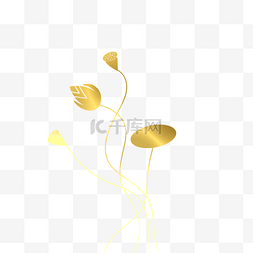 金色的莲花图片_含苞待放的金边莲花
