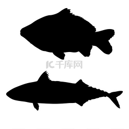 生物繁殖图片_鱼和鲤鱼的黑色轮廓