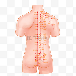经络图片_上身后背穴位图