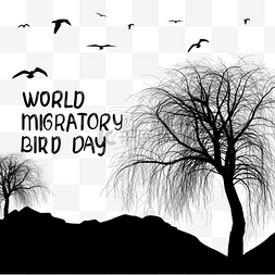 世界候鸟日垂下的柳枝和飞鸟