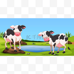 站在院子里的两个奶牛
