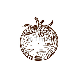 番茄隔离素描图标矢量浆果蔬菜樱