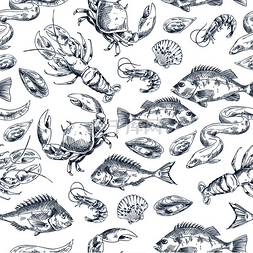 鱼蟹图片_小龙虾和鱼类素描图案。