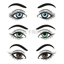 女性眼睛和眉毛的基本颜色。