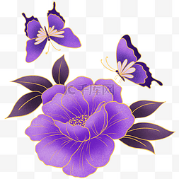 金边紫色花卉蝴蝶