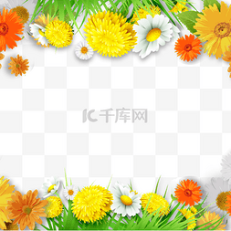 绿色春季背景图片_黄色万寿菊春季花卉边框