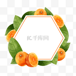 橙子水果水彩自然边框