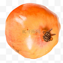 果粒橙logo图片_石榴水果维生素酸甜