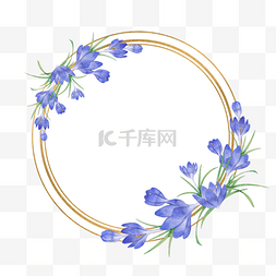 香料植物图片_番红花水彩花卉婚礼边框
