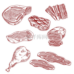 鸡腿线稿底纹图片_农场饲养的肉类产品草图，包括牛