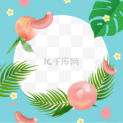 夏季水果facebook边框水蜜桃花卉