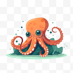 章鱼实物图图片_卡通海洋动物章鱼手绘