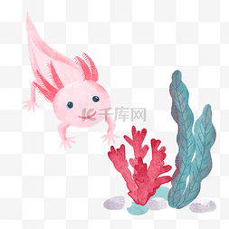 兔子玩具海报图片_蝾螈和海草水彩