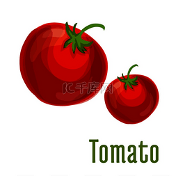 番茄蔬菜图标有茎和叶的孤立西红