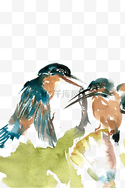 鸟类的背景图片_捕鱼的翠鸟