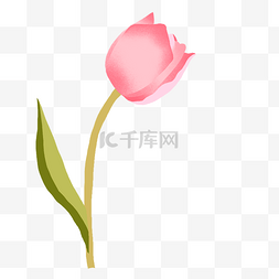 粉色手绘植物花图片_植物鲜花花朵粉色百合花免抠png手