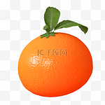 橙色C4D立体卡通仿真水果橘子