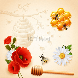 彩色蜂蜜成分彩色蜂蜜构图带有红