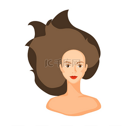 头发多图片_棕色头发的女孩的插图。